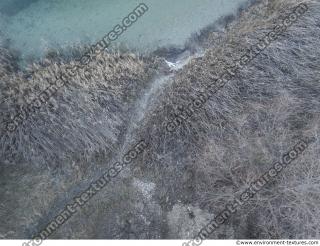 Photo Textures of Ground Grass Dead